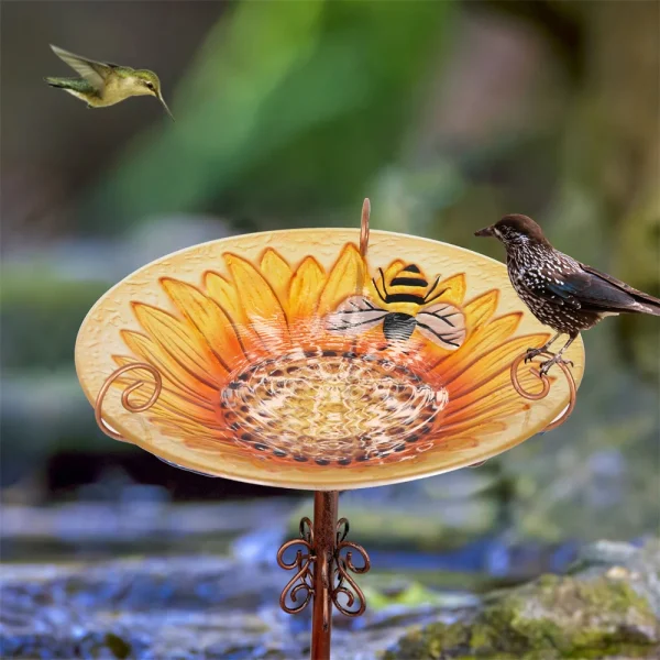 Glass Bird Bath